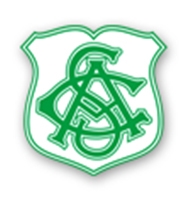 Imagem representativa do item